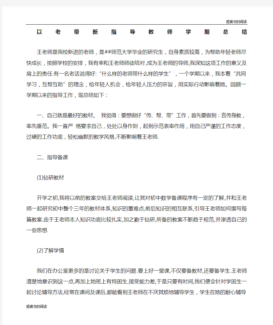 老带新指导教师工作总结.docx