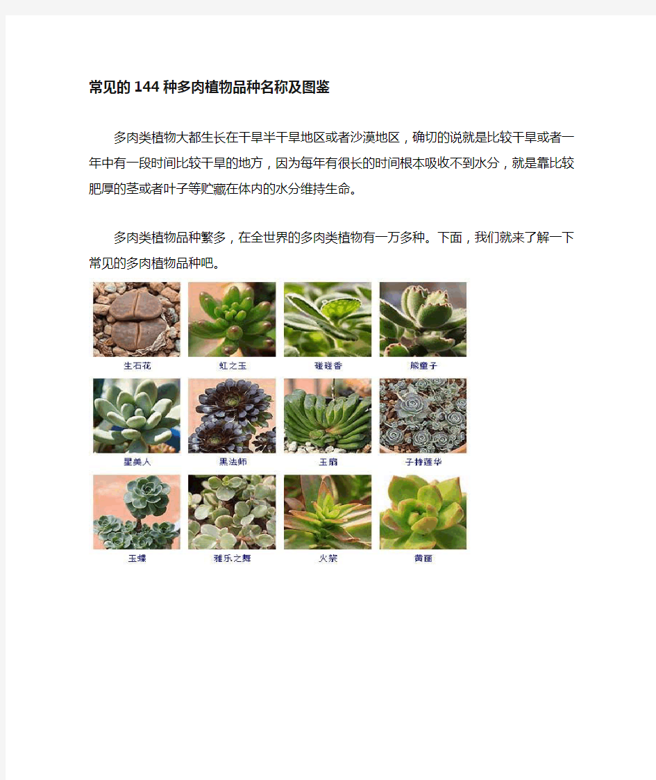 常见144种多肉植物品种名称及图鉴