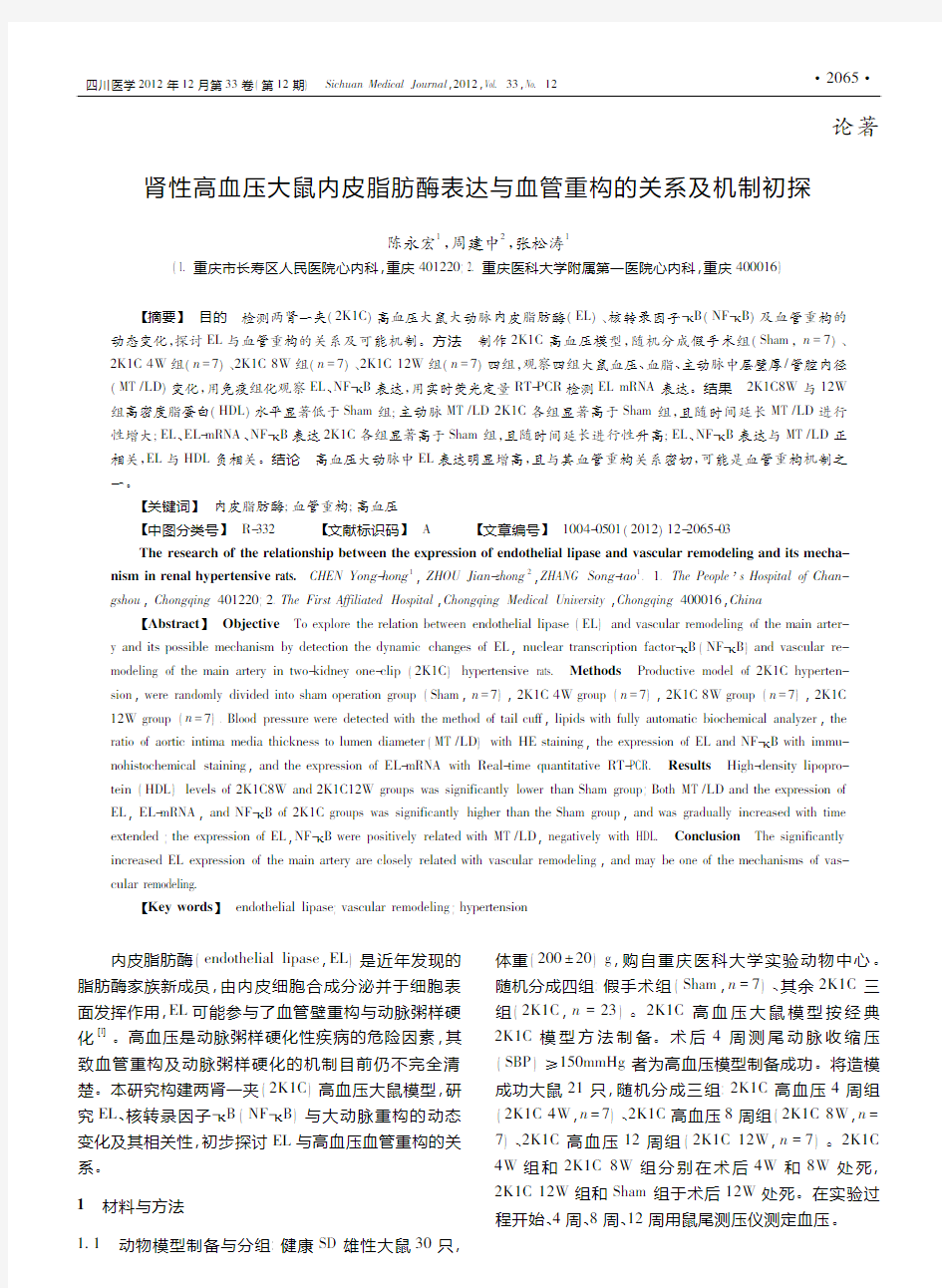 肾性高血压大鼠内皮脂肪酶表达与血管重构的关系及机制初探