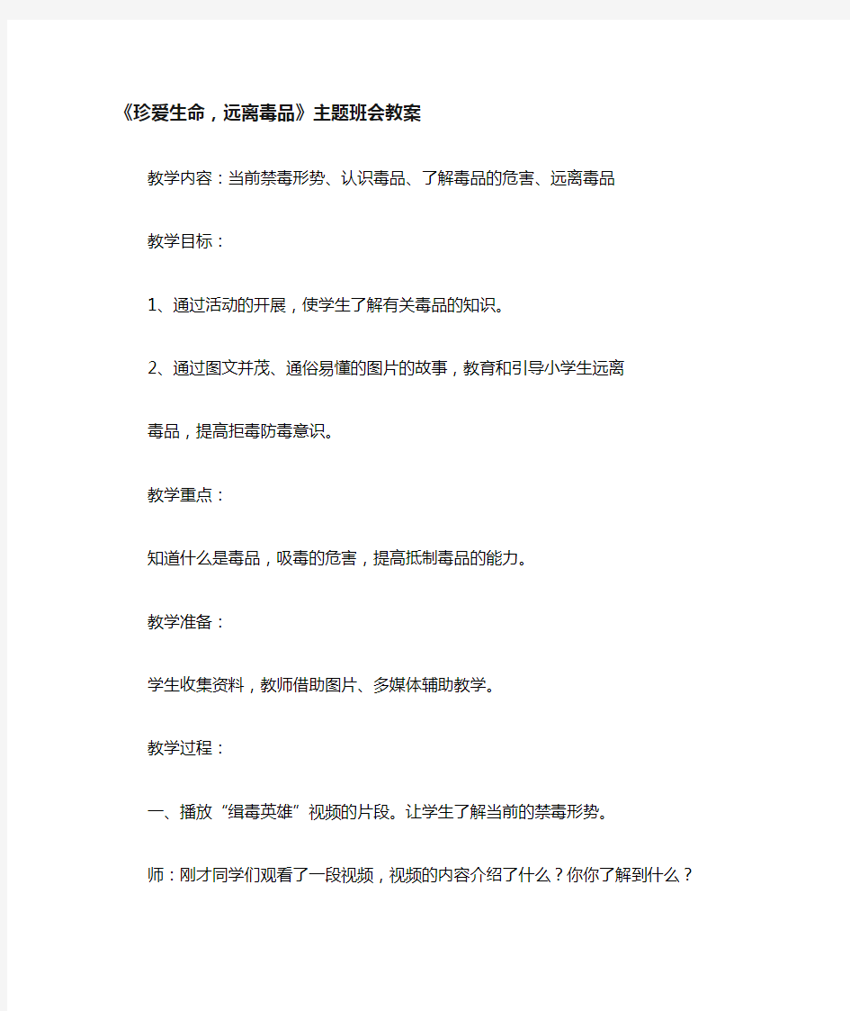 《珍爱生命,远离毒品》主题班会教案