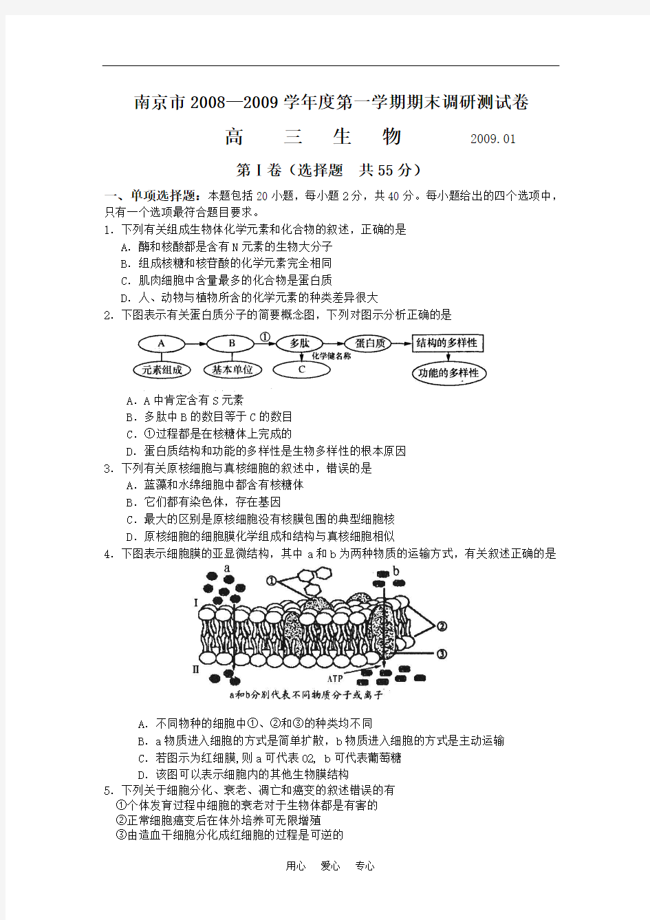 南京市2008—2009学年度第一学期期末调研测试卷生物试卷.doc