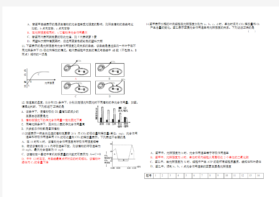 专题复习光合作用与呼吸作用