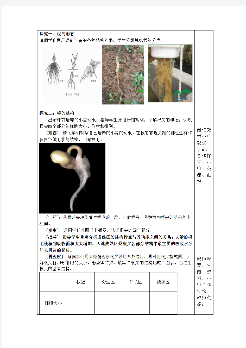 八年级生物上册 4.1.5 根的结构及功能导学案(新版)济南版