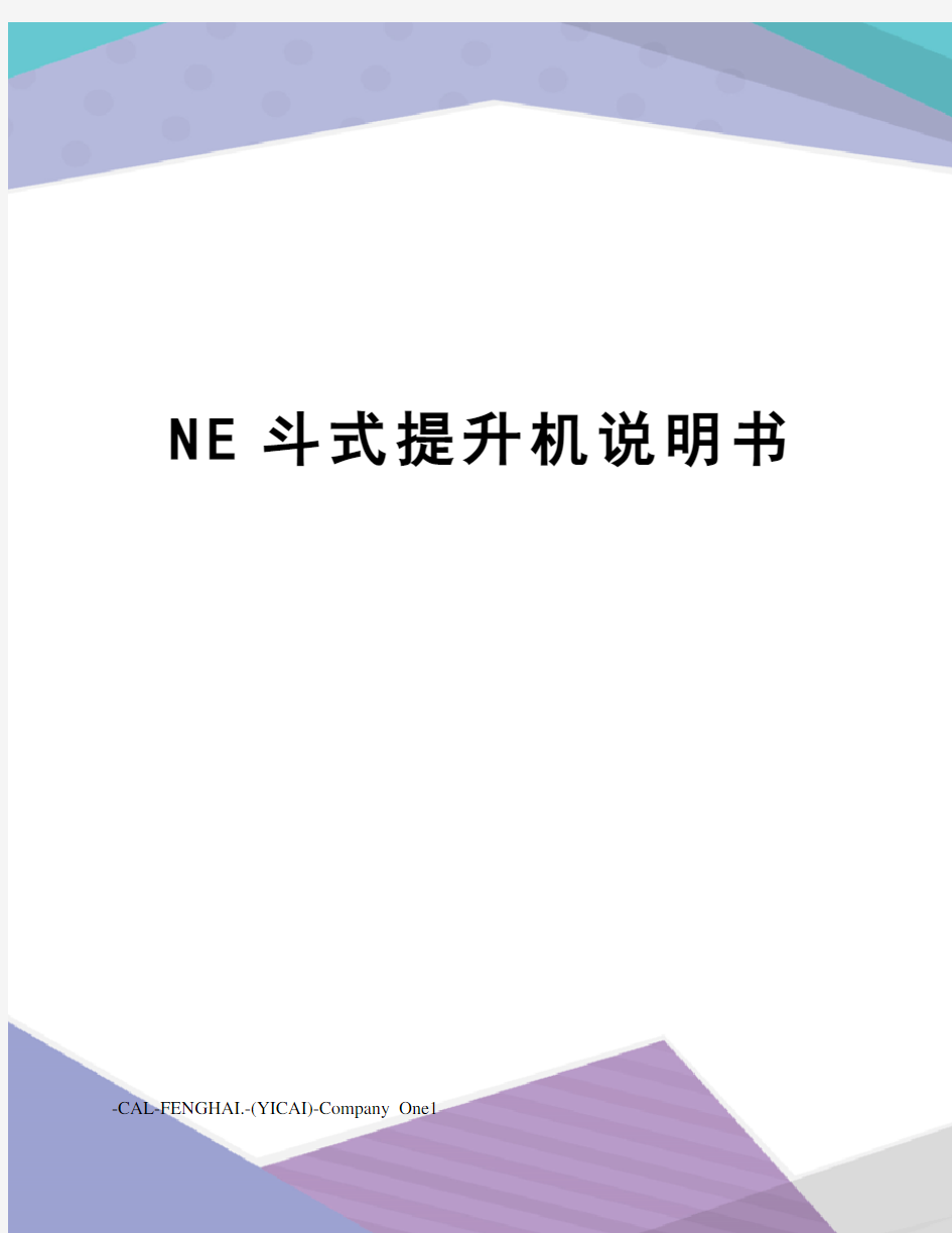 NE斗式提升机说明书