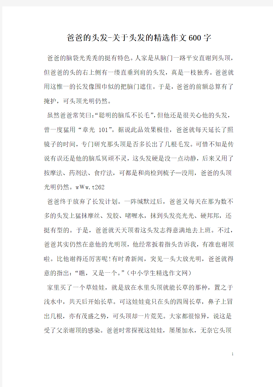 爸爸的头发-关于头发的精选作文600字