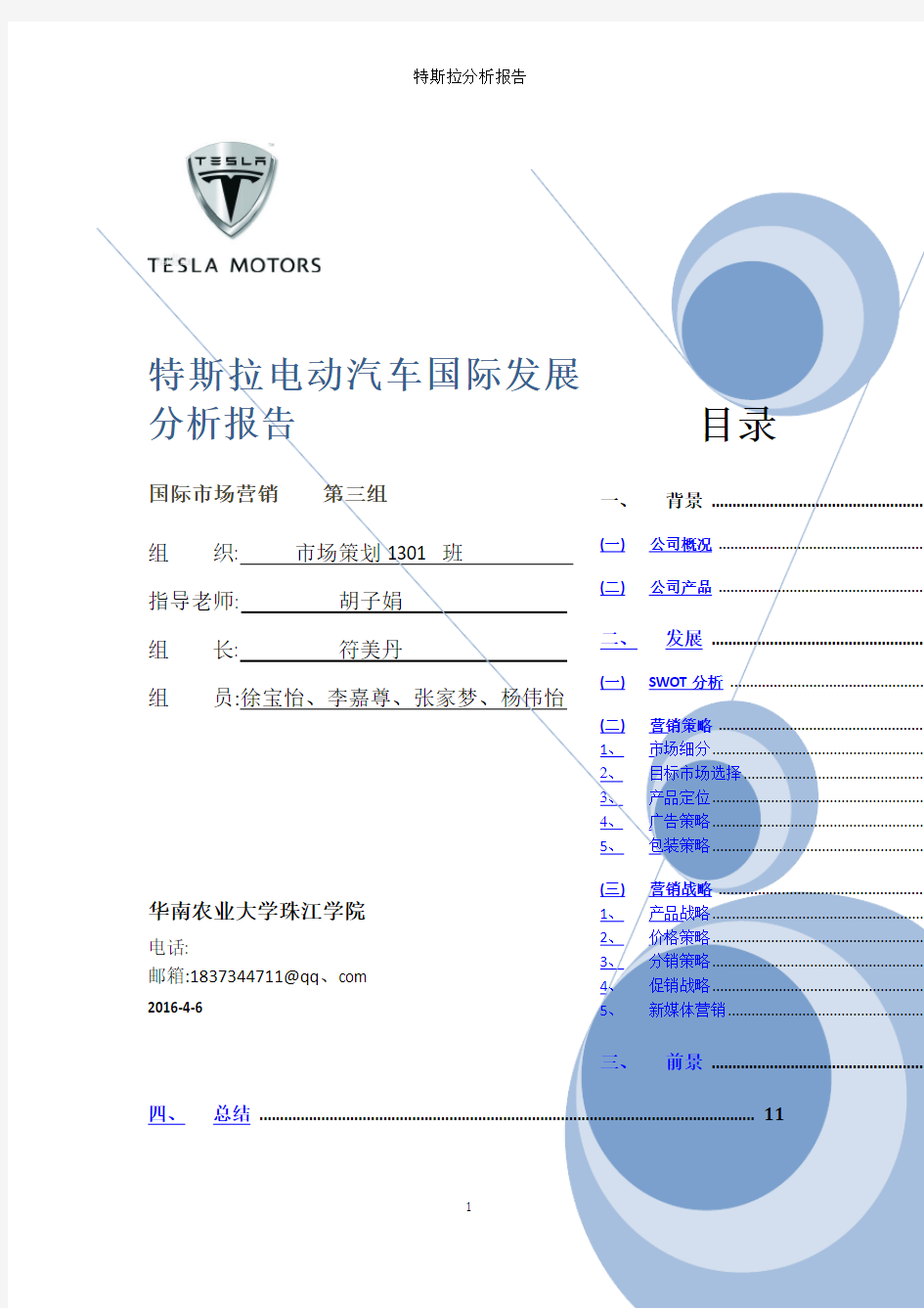 特斯拉分析报告