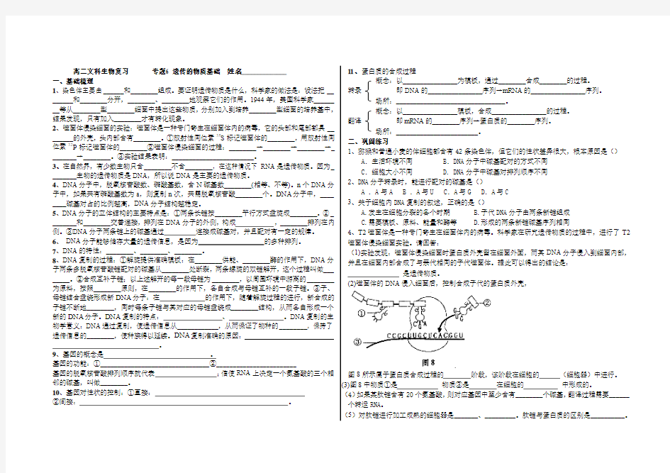 专题6 遗传的物质基础