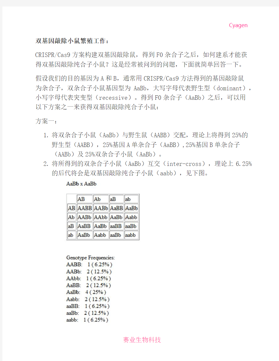 用CRISPR Cas9方案构建双基因敲除鼠, 获得双基因敲除纯合子小鼠的交配方案