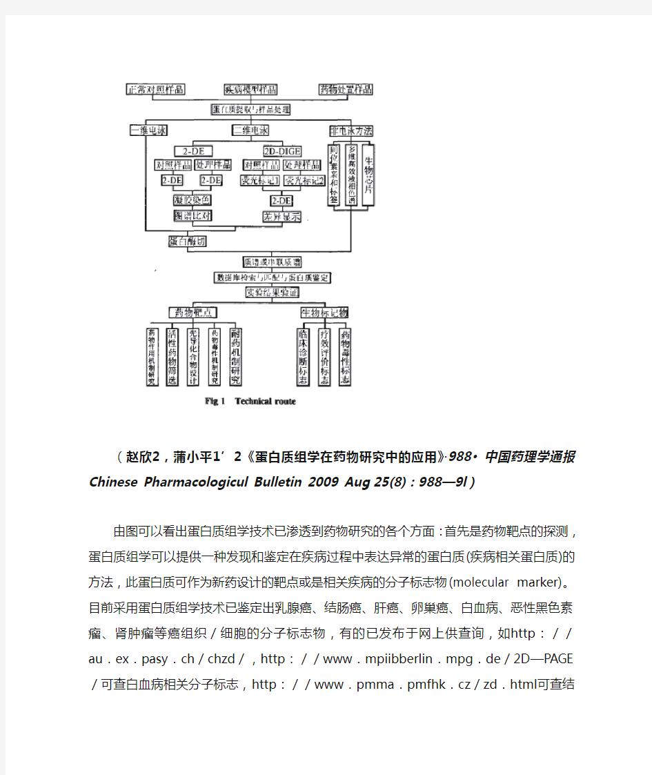 蛋白质组学与药物研究中的关系