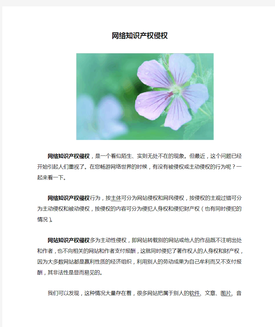 网络知识产权侵权