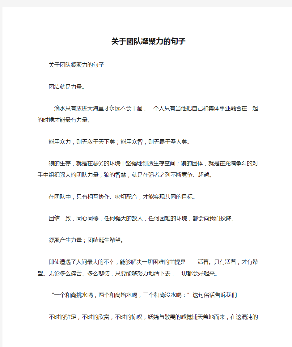 关于团队凝聚力的句子