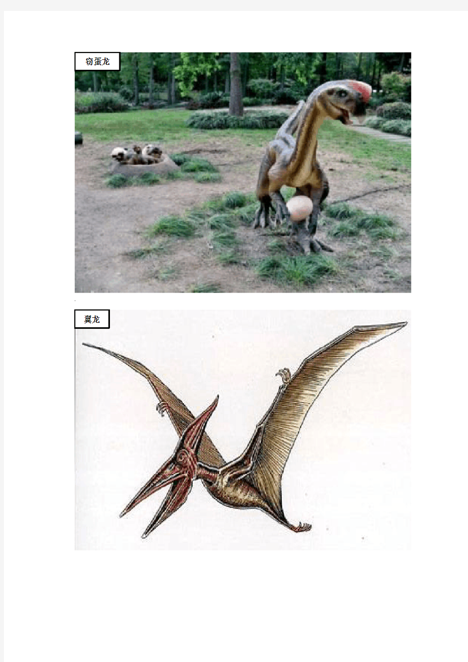 恐龙图片分类