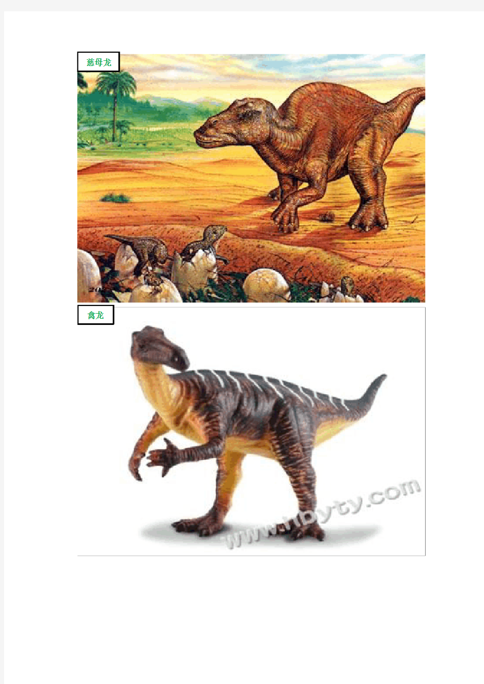 恐龙图片分类