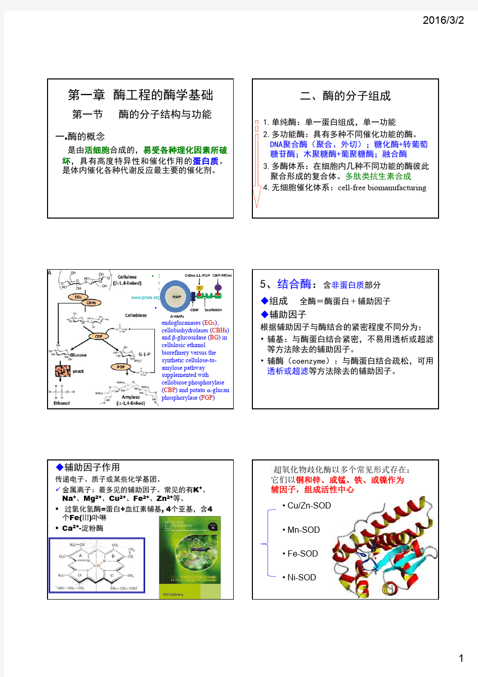 酶的基本性质