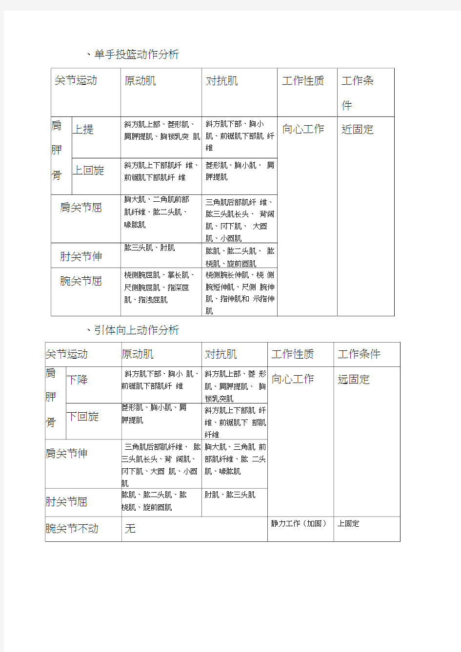 运动解剖学动作分析word精品