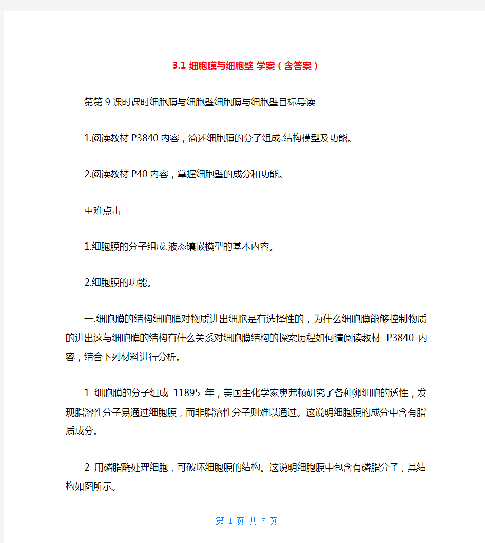 3.1 细胞膜与细胞壁 学案(含答案)