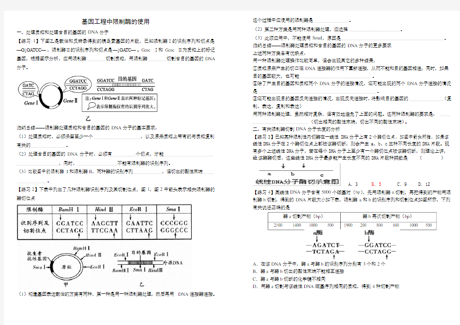 人教版高二生物选修三专题1基因工程——限制酶专题练习