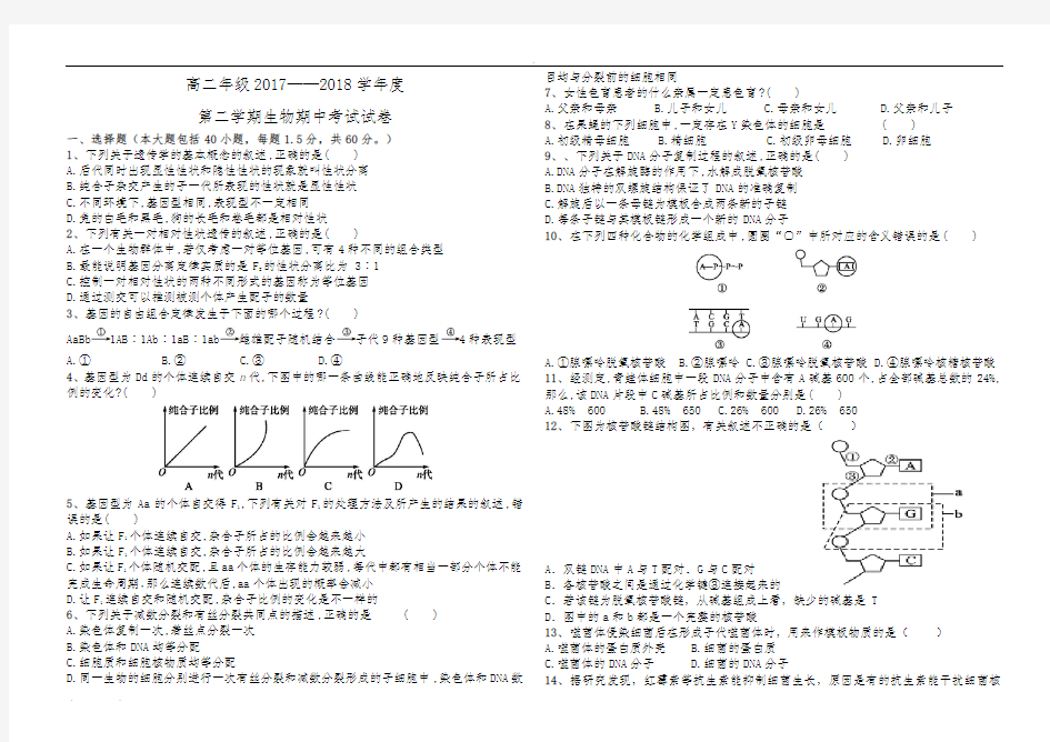 高中生物必修二考试试题(含答案)