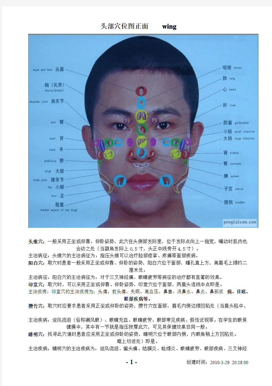 头部穴位图正面