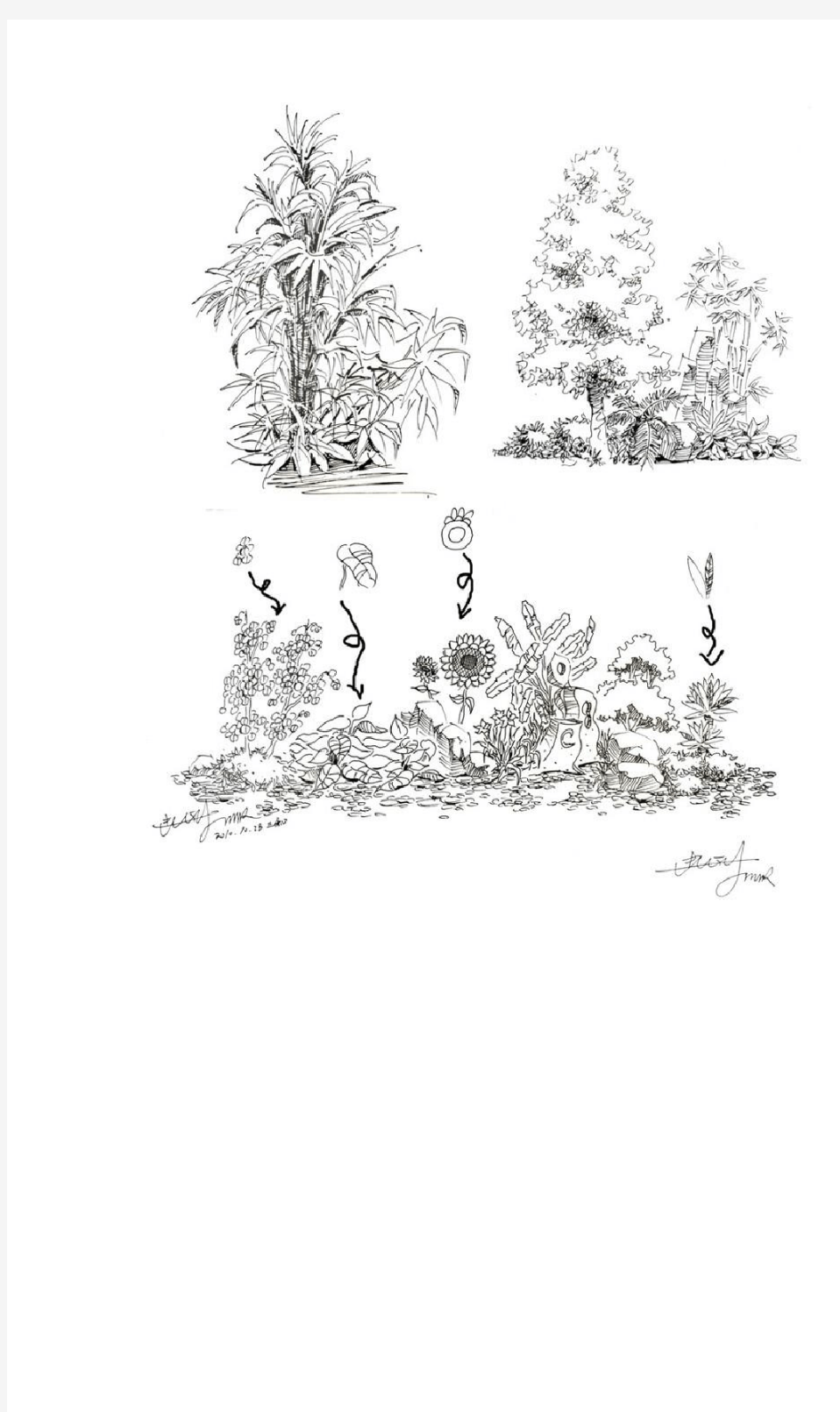 植物配置效果图手绘画法