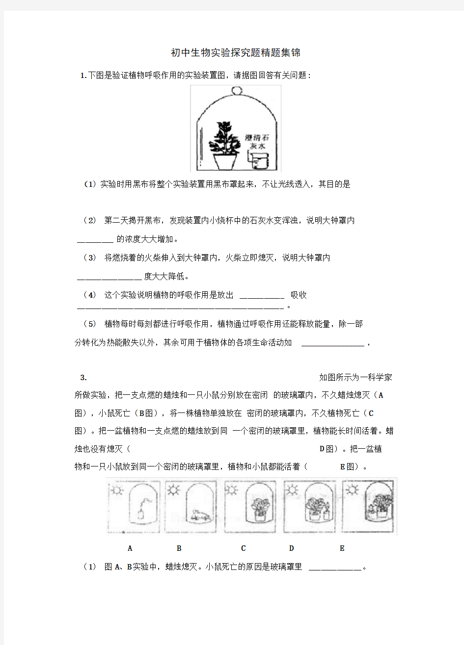 初中生物实验探究题精题集锦