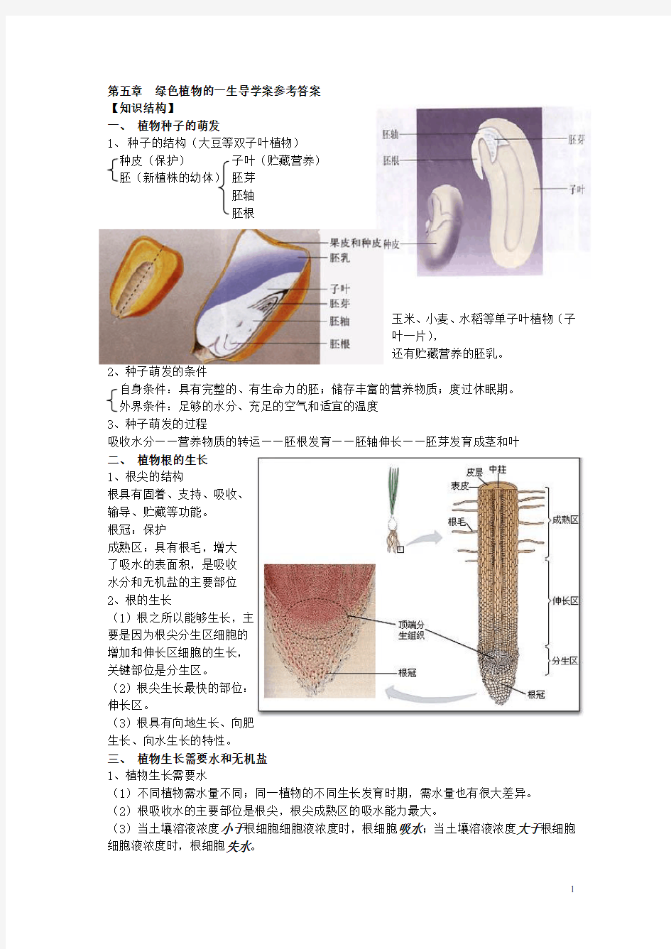 第五章绿色植物的一生复习导学案有答案