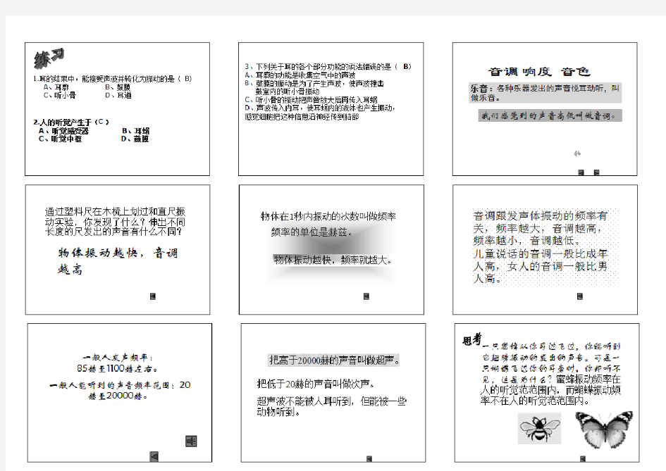 初一第二章第三节耳和听觉讲义加练习