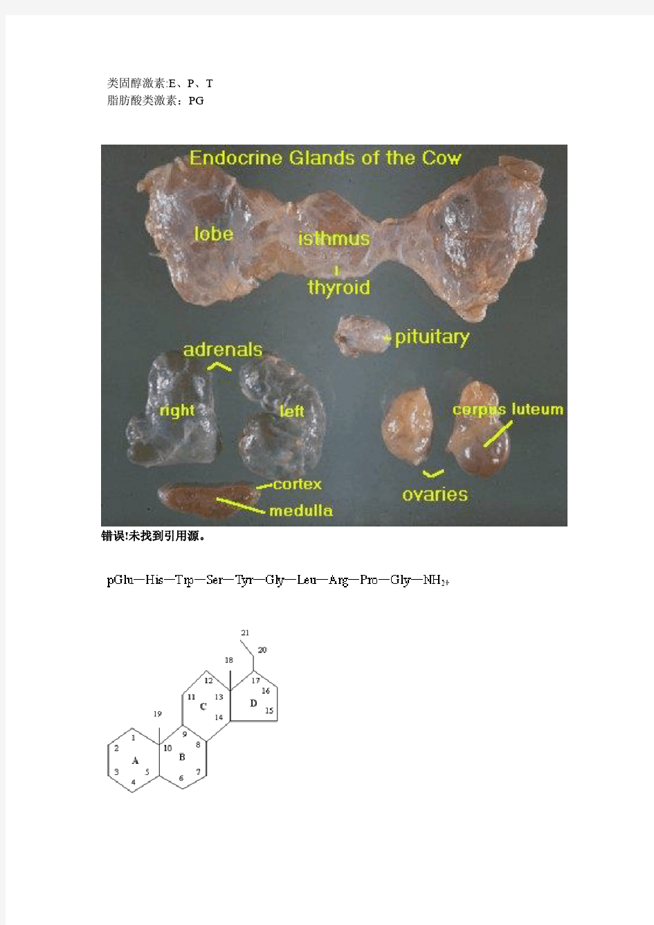 动物繁殖学第二章生殖激素