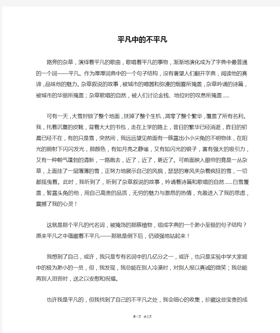 平凡中的不平凡_高一作文