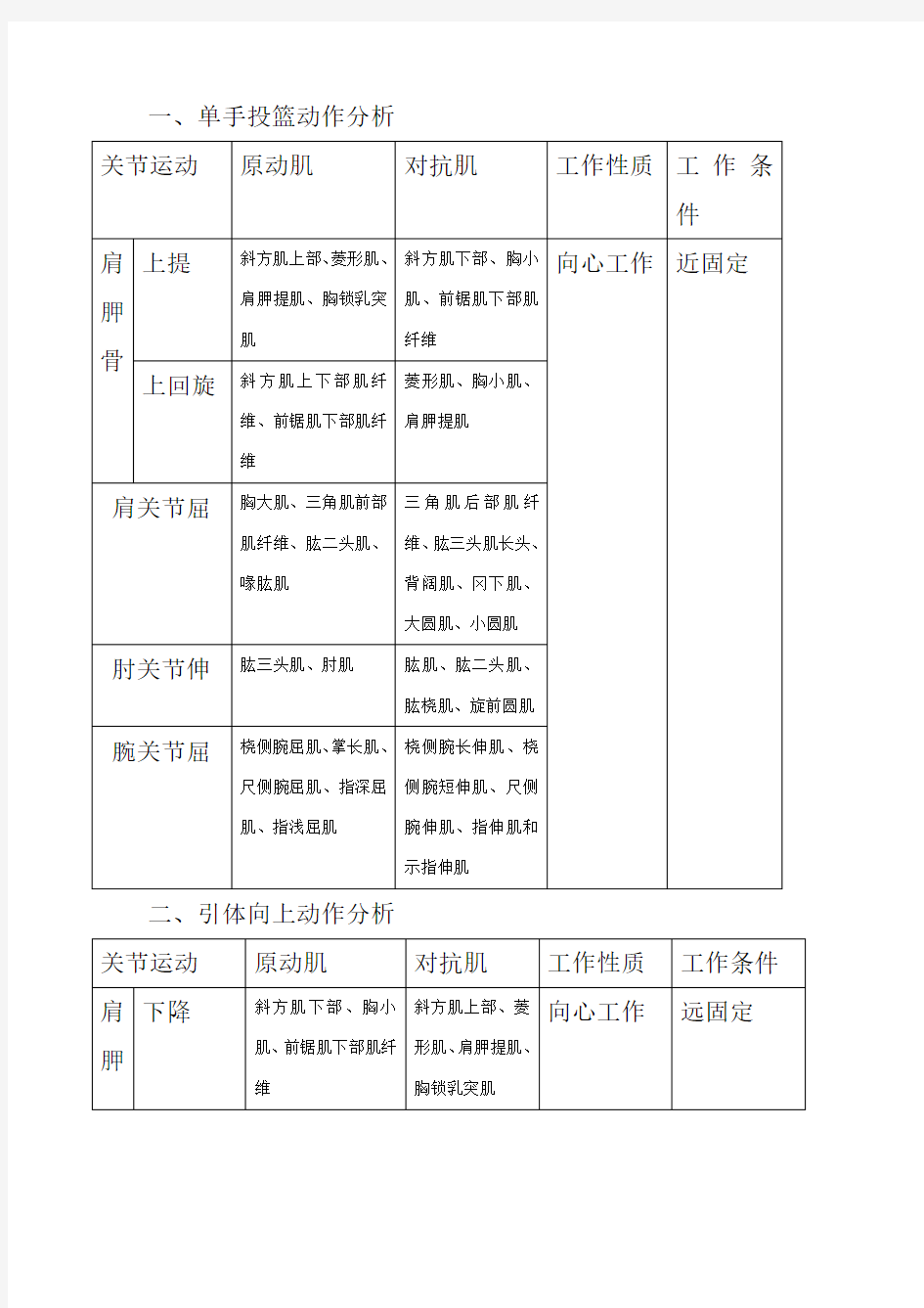 运动解剖学动作分析