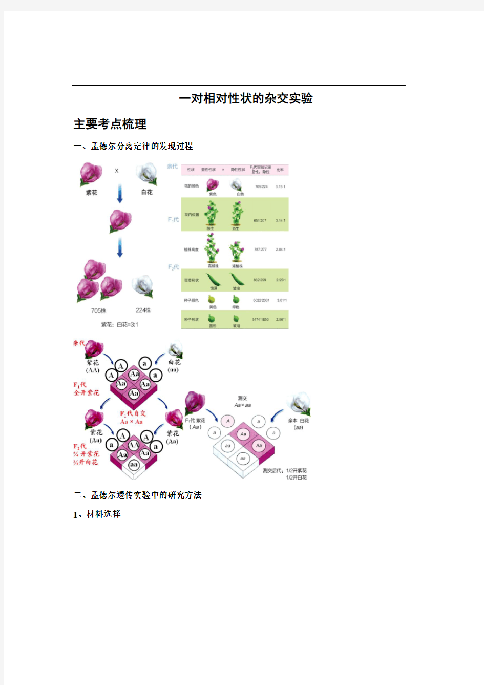 一对相对性状的杂交实验 考点 讲义 练习 答案