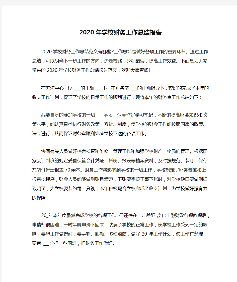 2020年学校财务工作总结报告