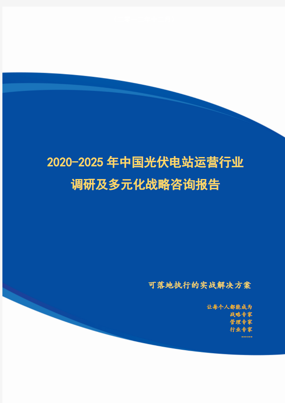 2020-2025年中国光伏电站运营行业调研及多元化战略咨询报告