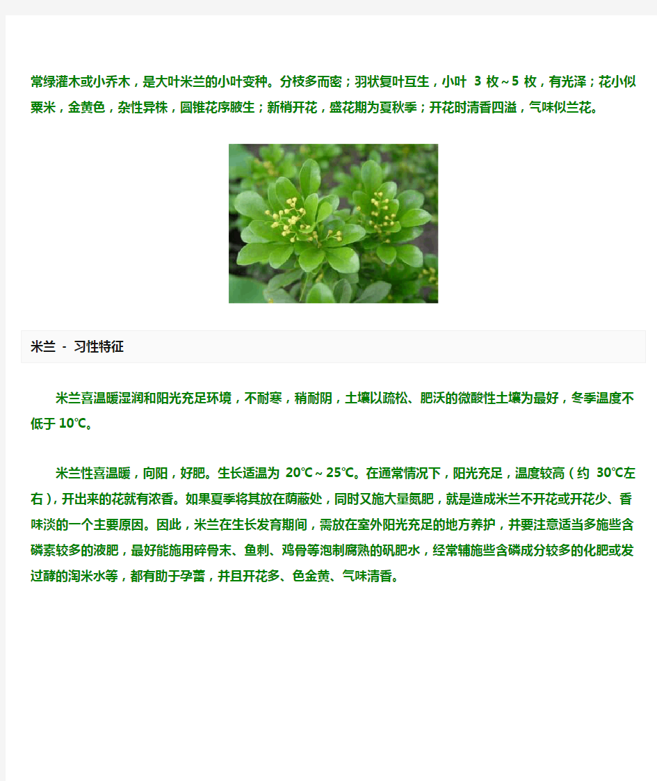 米兰的习性与栽培技术