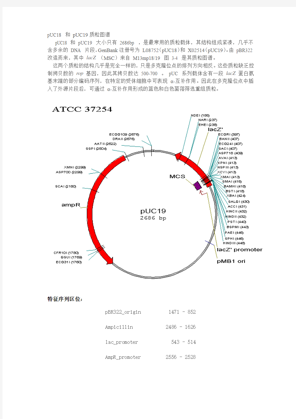 pUC18+和+pUC19质粒图谱