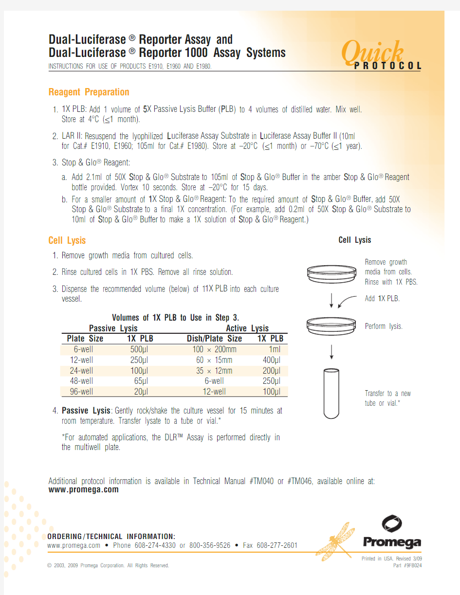 promega 双荧光素酶报告基因检测系统 快速Protocol