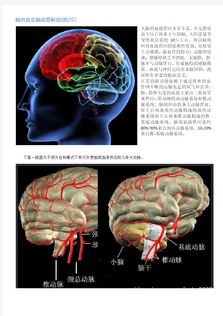 脑供血及脑血管解剖(图文)