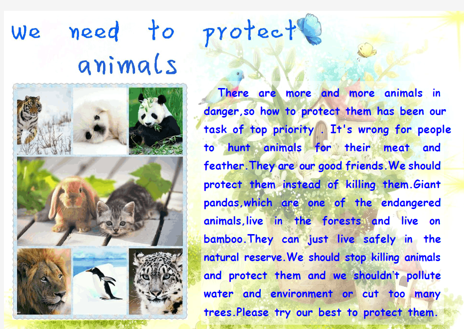 Protect Animal 保护动物英语小报