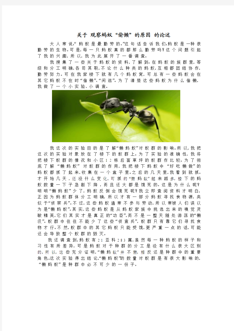 关于观察蚂蚁为什么