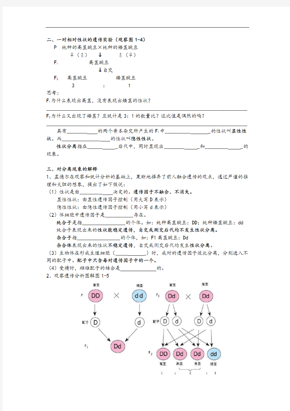 高中生物必修二全套精品学案-教案设计