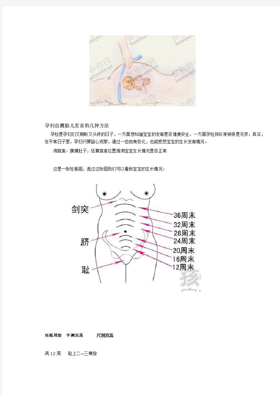 测量宫高和腹围