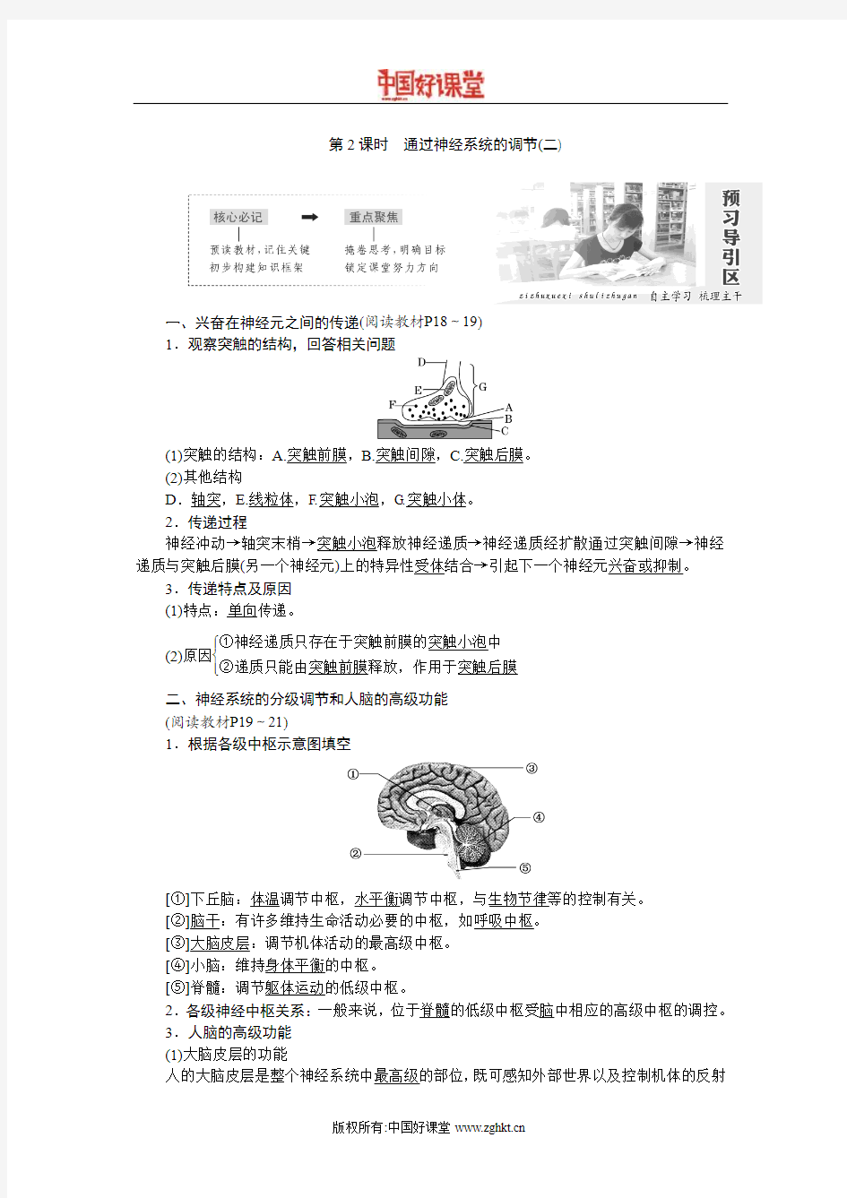 2016新课标创新人教生物必修3   第2章  第1节  第2课时 通过神经系统的调节(二)