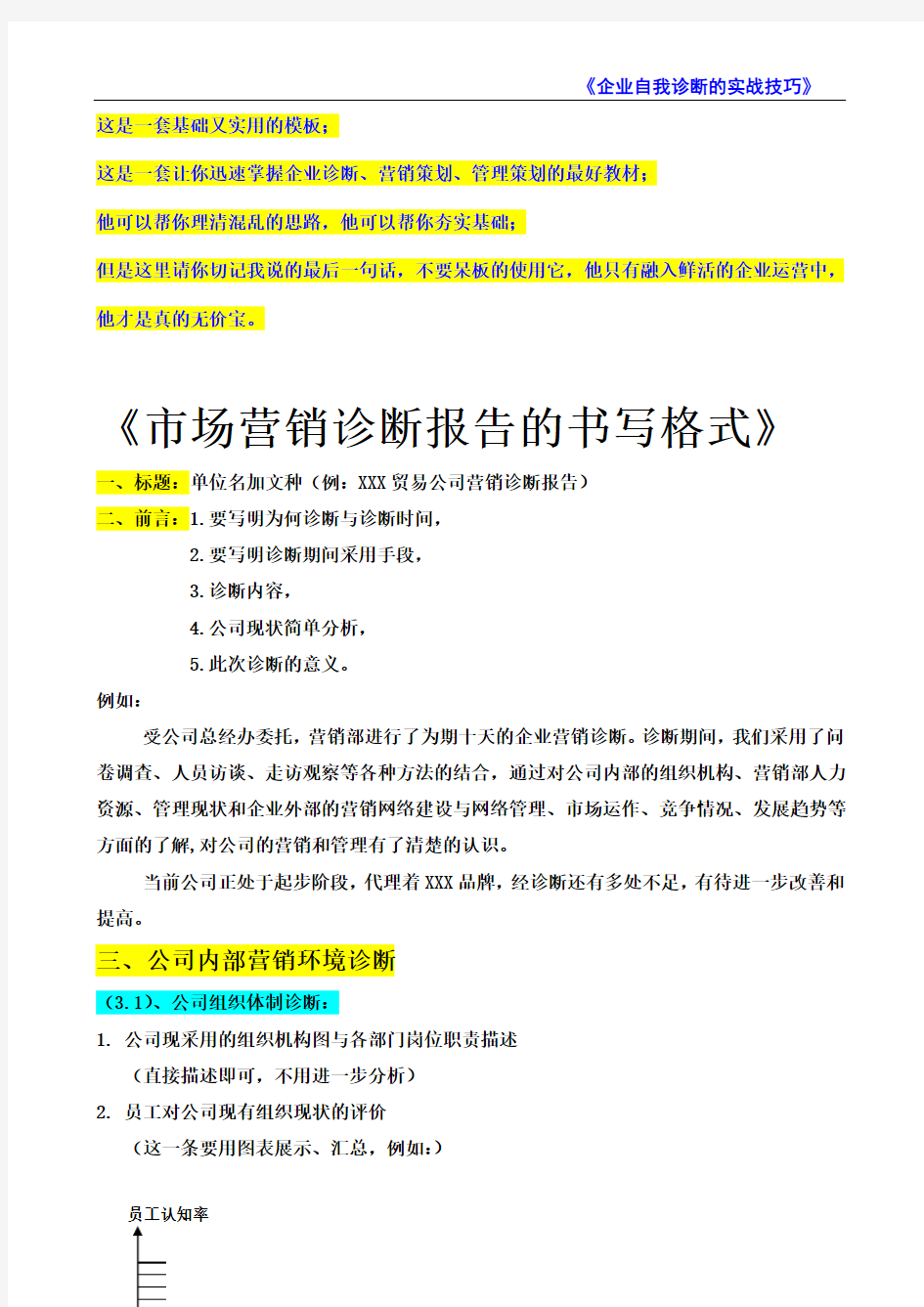 《市场营销诊断报告的书写格式》