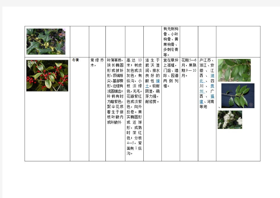 植物分类介绍——果木类