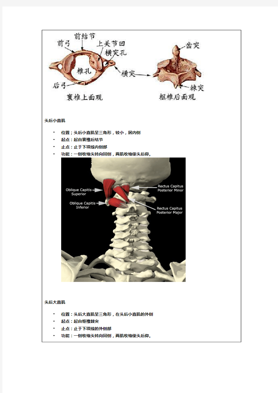 赛普健身教练培训学院——运动康复课程