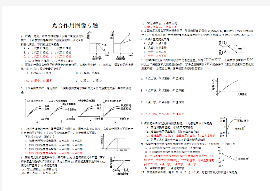 光合作用图像专题