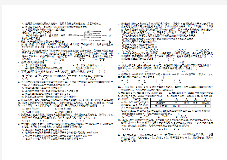 高中生物必修二第一单元测试题