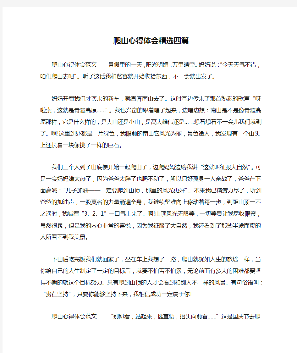 爬山心得体会精选四篇