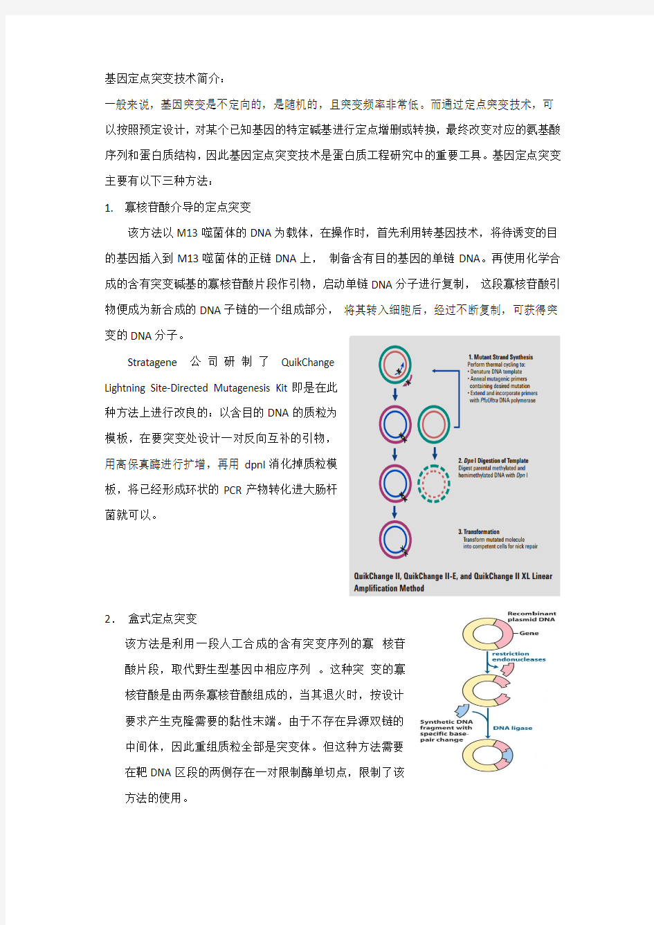 基因定点突变技术简介-sill