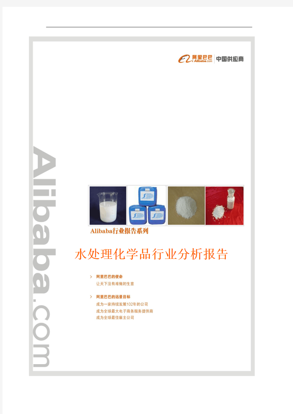 2010水处理化学品行业分析报告